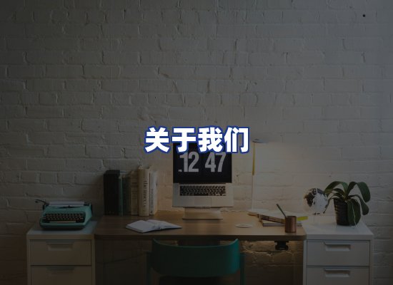 专业团队
